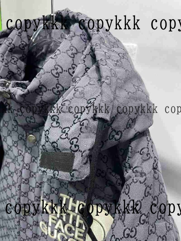 大人気 ザ・ノース・フェイス ダウンジャケット コピー - clothing-01395 画像 8