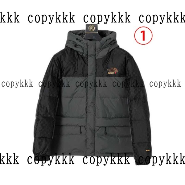 格安 ザ・ノース・フェイス ダウンジャケット スーパーコピー - clothing-01397 おすすめN級品