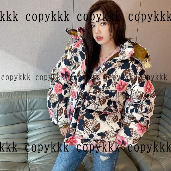 ザ・ノース・フェイス ダウンジャケット コピー 激安通販 - clothing-01398 おすすめN級品