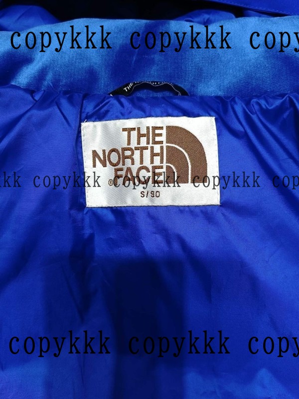 人気 ザ・ノース・フェイス ダウンジャケット N級品 - clothing-01399 画像 5