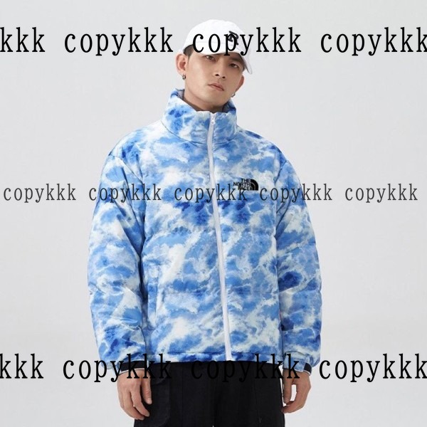 格安 ザ・ノース・フェイス ダウンジャケット スーパーコピー - clothing-01410 おすすめN級品