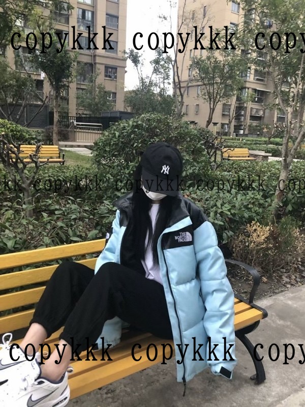 人気 ザ・ノース・フェイス ダウンジャケット N級品 - clothing-01418 画像 8