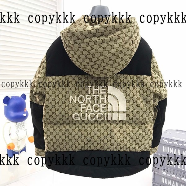 大人気 ザ・ノース・フェイス ダウンジャケット コピー - clothing-01351 おすすめN級品