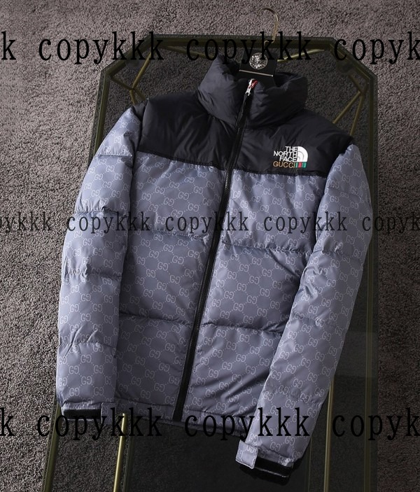 人気 ザ・ノース・フェイス ダウンジャケット N級品 - clothing-01423 画像 3