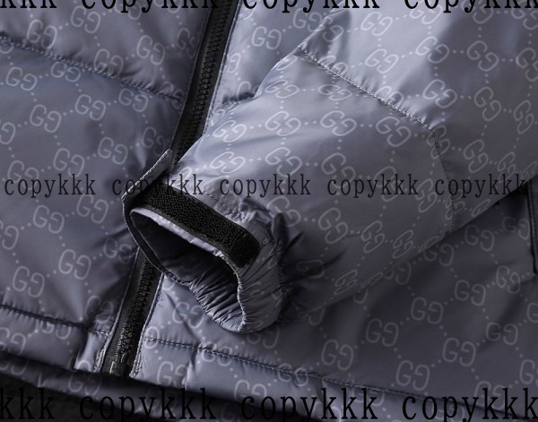 人気 ザ・ノース・フェイス ダウンジャケット N級品 - clothing-01423 画像 5