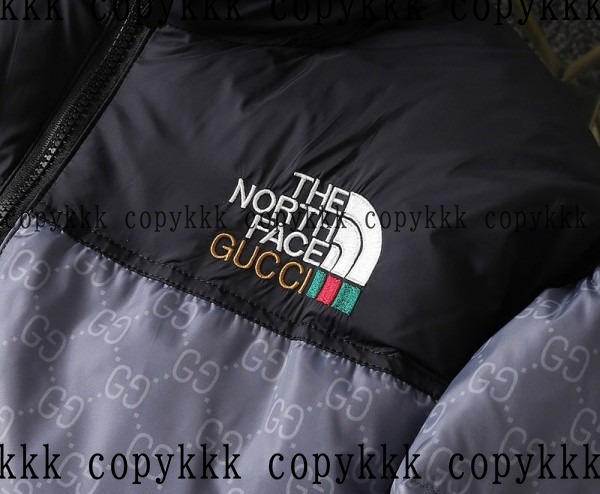 人気 ザ・ノース・フェイス ダウンジャケット N級品 - clothing-01423 画像 7