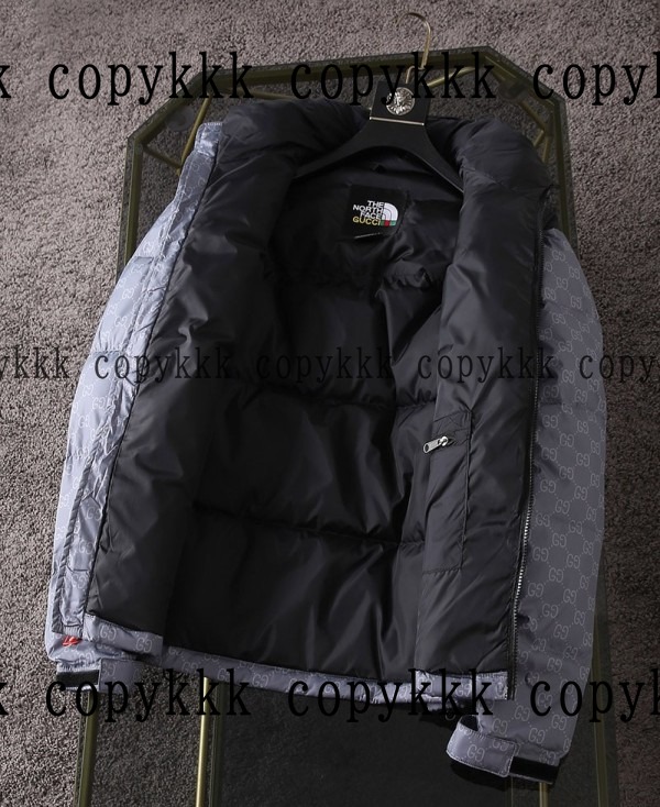 人気 ザ・ノース・フェイス ダウンジャケット N級品 - clothing-01423 画像 8