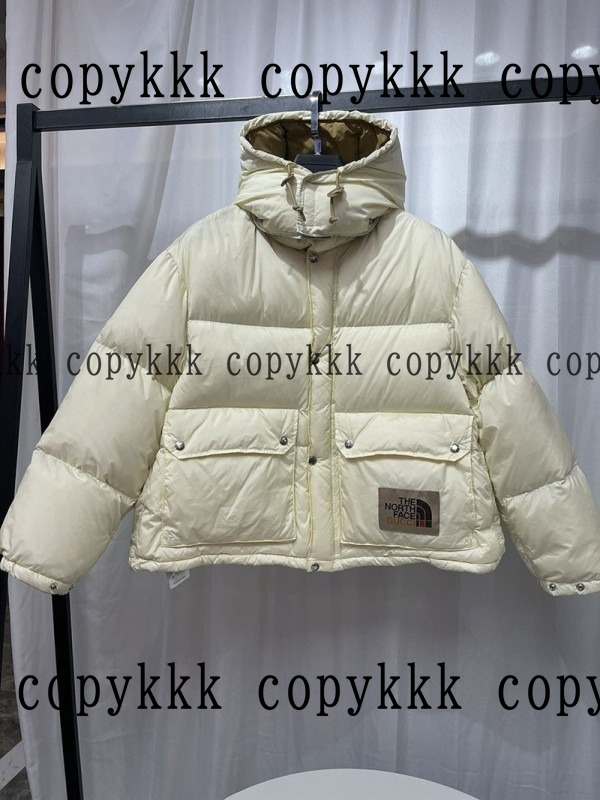 人気 ザ・ノース・フェイス ダウンジャケット N級品 - clothing-01427 おすすめN級品