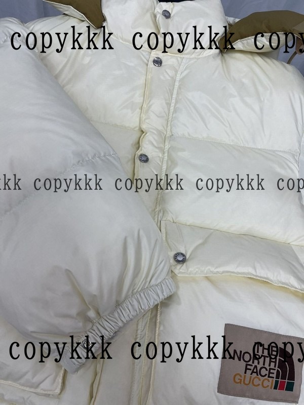 人気 ザ・ノース・フェイス ダウンジャケット N級品 - clothing-01427 画像 7