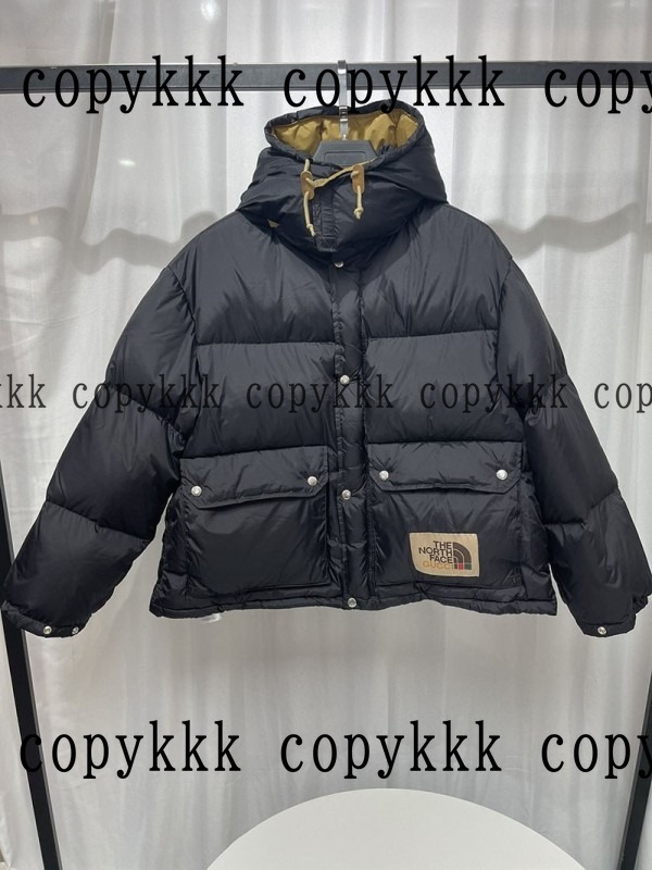ザ・ノース・フェイス ダウンジャケット N級品 送料無料 - clothing-01428 メイン画像
