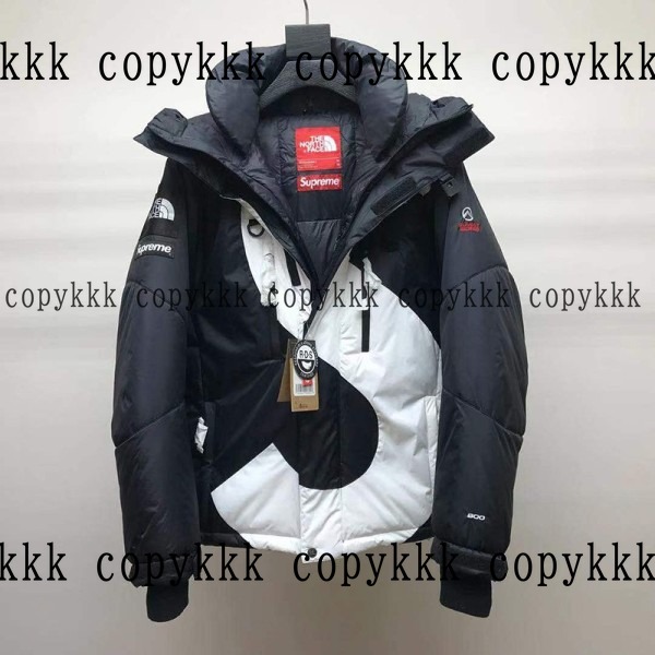 ザ・ノース・フェイス ダウンジャケット N級品 送料無料 - clothing-01352 メイン画像