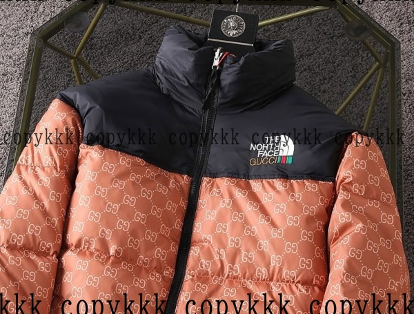 格安 ザ・ノース・フェイス ダウンジャケット スーパーコピー - clothing-01436 画像 4