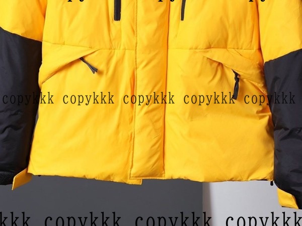 ザ・ノース・フェイス ダウンジャケット N級品 送料無料 - clothing-01442 画像 4