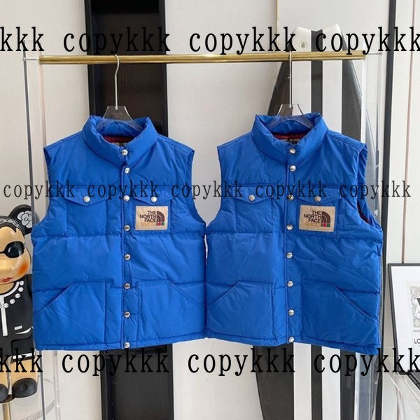 大人気 ザ・ノース・フェイス ダウンベスト コピー - clothing-01330 おすすめN級品