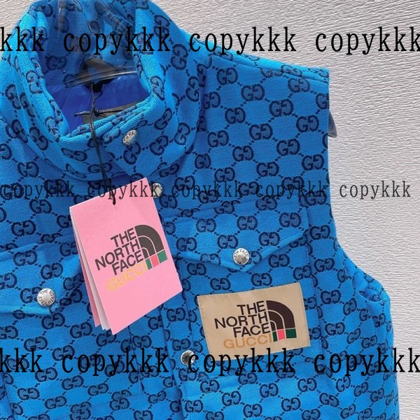 ザ・ノース・フェイス ダウンベスト コピー 激安通販 - clothing-01335 画像 3