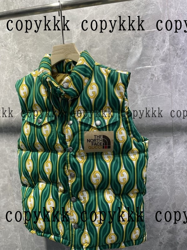 送料無料 ザ・ノース・フェイス ダウンベスト スーパーコピー - clothing-01342 画像 9