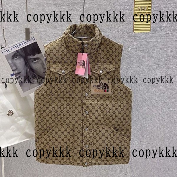 格安 ザ・ノース・フェイス ダウンベスト スーパーコピー - clothing-01343 おすすめN級品