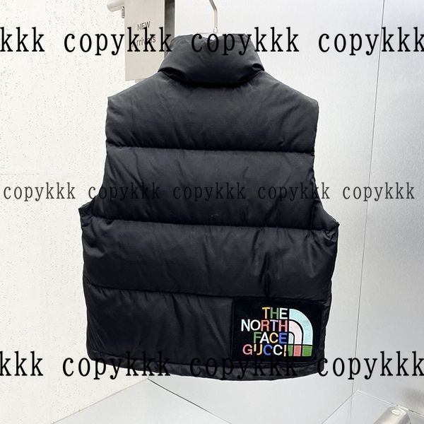 人気 ザ・ノース・フェイス ダウンベスト N級品 - clothing-01323 画像 2
