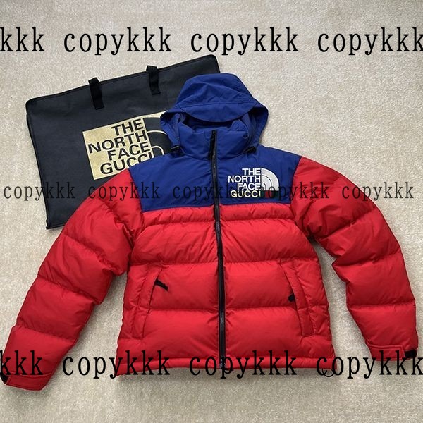 人気 ザ・ノース・フェイス ダウンベスト N級品 - clothing-01325