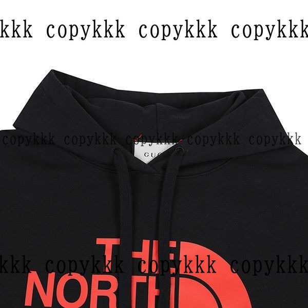 人気 ザ・ノース・フェイス パーカー N級品 - clothing-01564 画像 3
