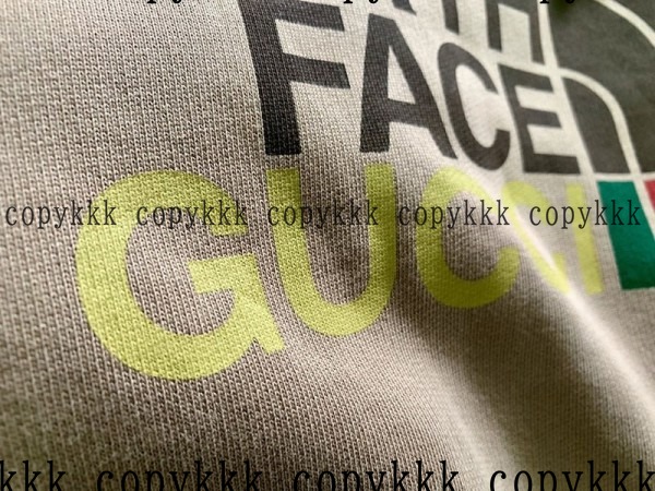 大人気 ザ・ノース・フェイス パーカー コピー - clothing-01555 画像 6