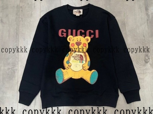 ザ・ノース・フェイス パーカー コピー 激安通販 - clothing-01585 メイン画像