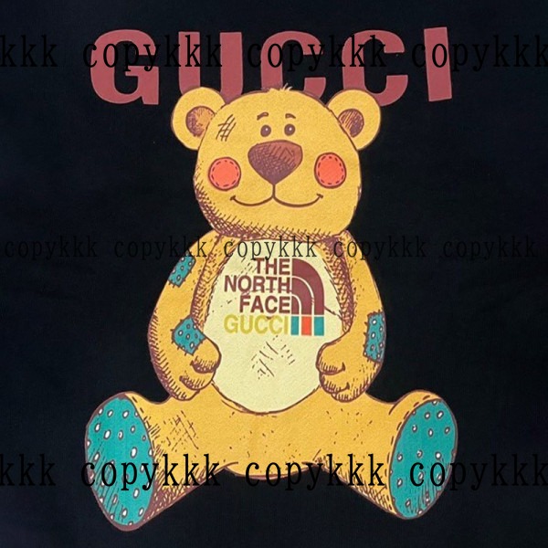 ザ・ノース・フェイス パーカー コピー 激安通販 - clothing-01585 画像 5