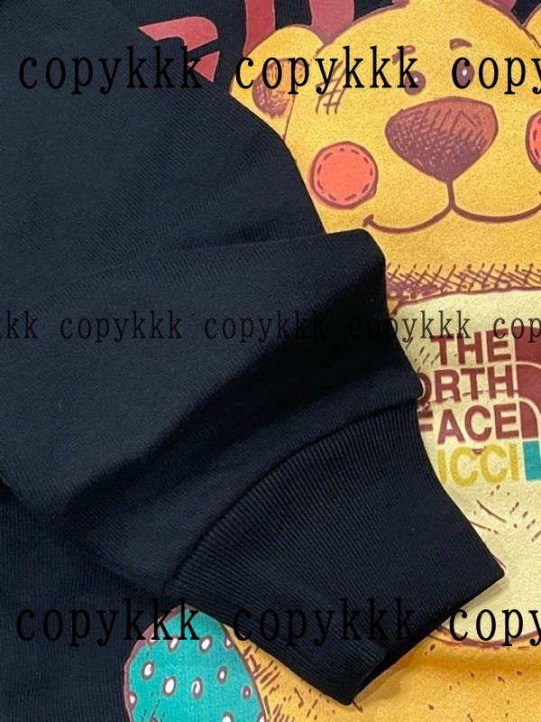 ザ・ノース・フェイス パーカー コピー 激安通販 - clothing-01585 画像 7
