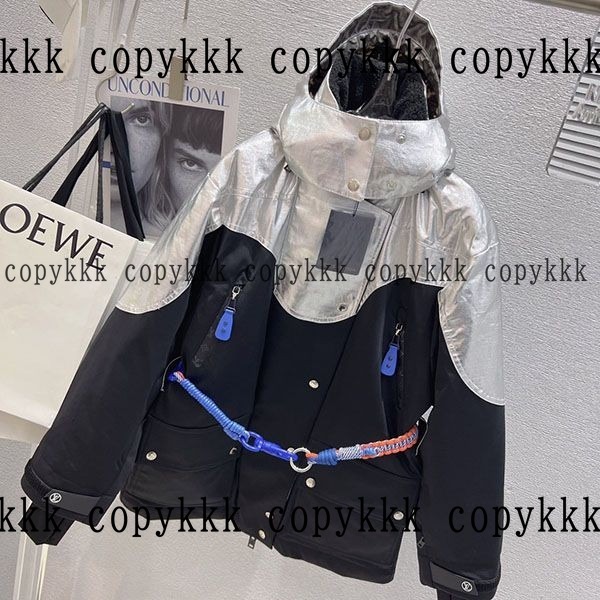 格安 ルイ・ヴィトン ダウンジャケット スーパーコピー - clothing-02145 おすすめN級品