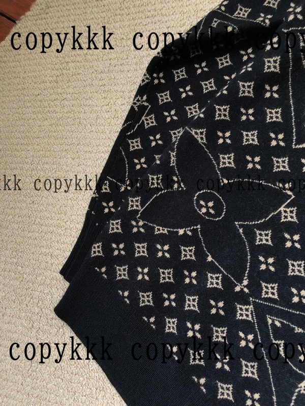 大人気 ルイ・ヴィトン パーカー コピー - clothing-02734 画像 3