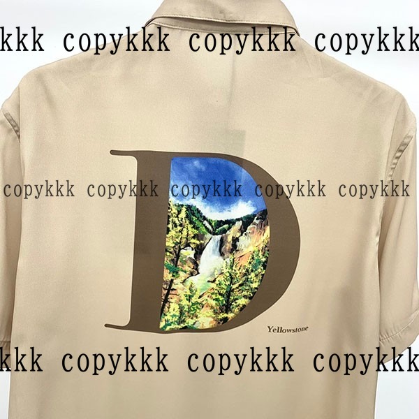 格安 ディオール 半袖 スーパーコピー - clothing-03192 画像 5