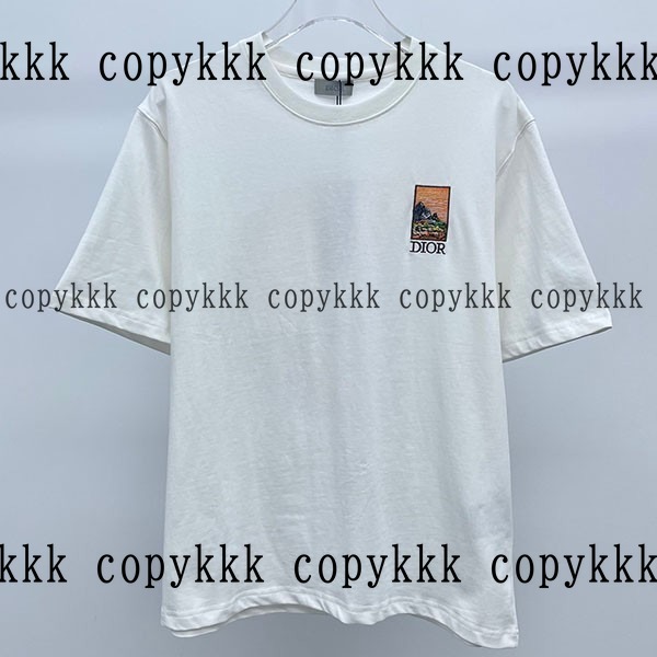 大人気 ディオール 半袖 コピー - clothing-03194