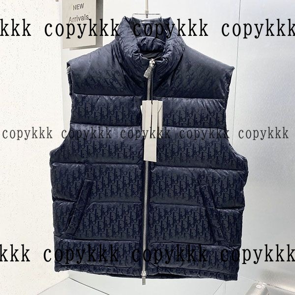 大人気 ディオール ダウンジャケット コピー - clothing-03129