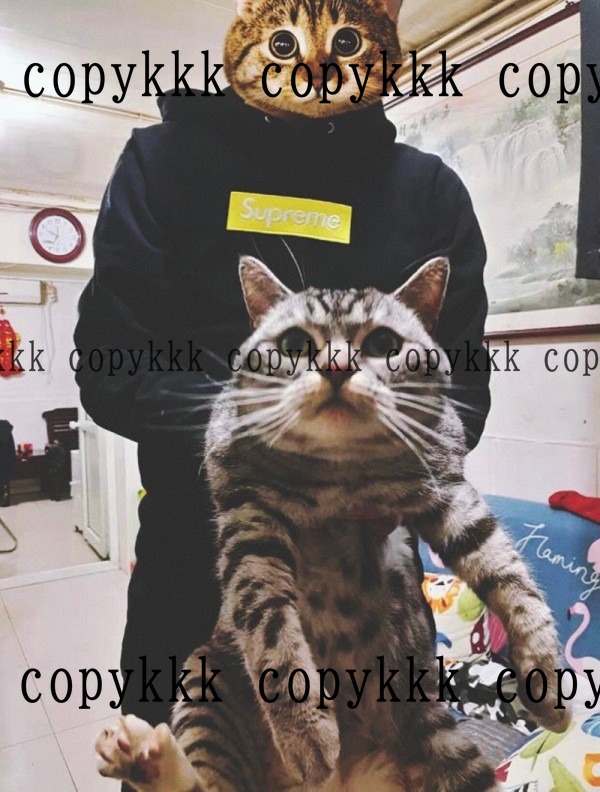 人気 シュプリーム パーカー N級品 - clothing-00058 画像 2