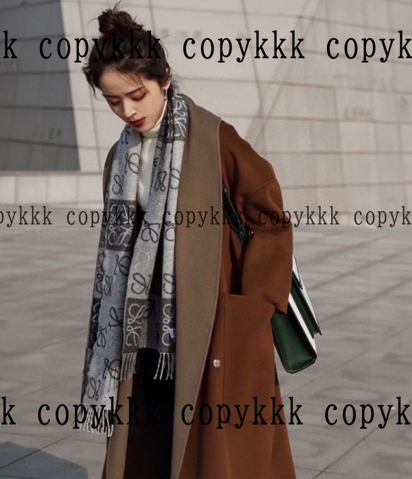 ロエベ スカーフ ブランドコピー 激安通販 - scarves-00568 画像 2