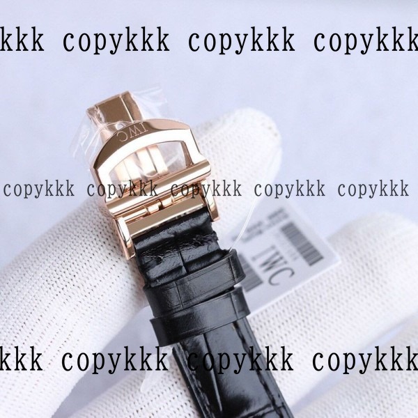 大人気 IWC ポートフィノ スーパーコピー腕時計 - watches-00043 画像 9