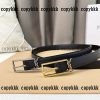 サンローラン ベルト スーパーコピーn級品格安 - yiasd29074