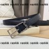 サンローラン ベルト スーパーコピーn級品格安 - yiasd29074 - 画像 (3)