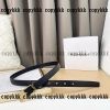 サンローラン ベルト スーパーコピーn級品格安 - yiasd29074 - 画像 (6)