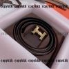 エルメスベルトn級品偽物激安 - yiasd29247 - 画像 (9)