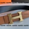 エルメスベルト スーパーコピー通販 - yiasd29279 - 画像 (2)