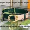 gucci ベルト n級品偽物格安通販 - yiasd29162 - 画像 (2)
