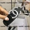 chanel ベルト ブランドスーパーコピー 激安 - yiasd29706