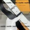 スーパーコピー ルイヴィトン ベルト 激安 通販 - yiasd29536 - 画像 (4)