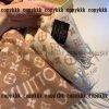 n 級 品 通販 マフラー スーパー コピー ルイヴィトン ブランド - wjsu6537 - 画像 (7)