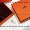 ネックレス エルメス スーパー コピー 後払い 通販xljzss88571