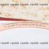 カルティエ ピアス n 級 品 後払い 通販xljzss88331 - 画像 (3)