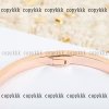カルティエ ピアス n 級 品 後払い 通販xljzss88331 - 画像 (5)