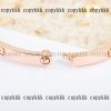 カルティエ ピアス n 級 品 後払い 通販xljzss88331 - 画像 (6)