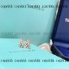 ブレスレット Tiffany スーパー コピー 通販 代引きxljzss88116 - 画像 (2)